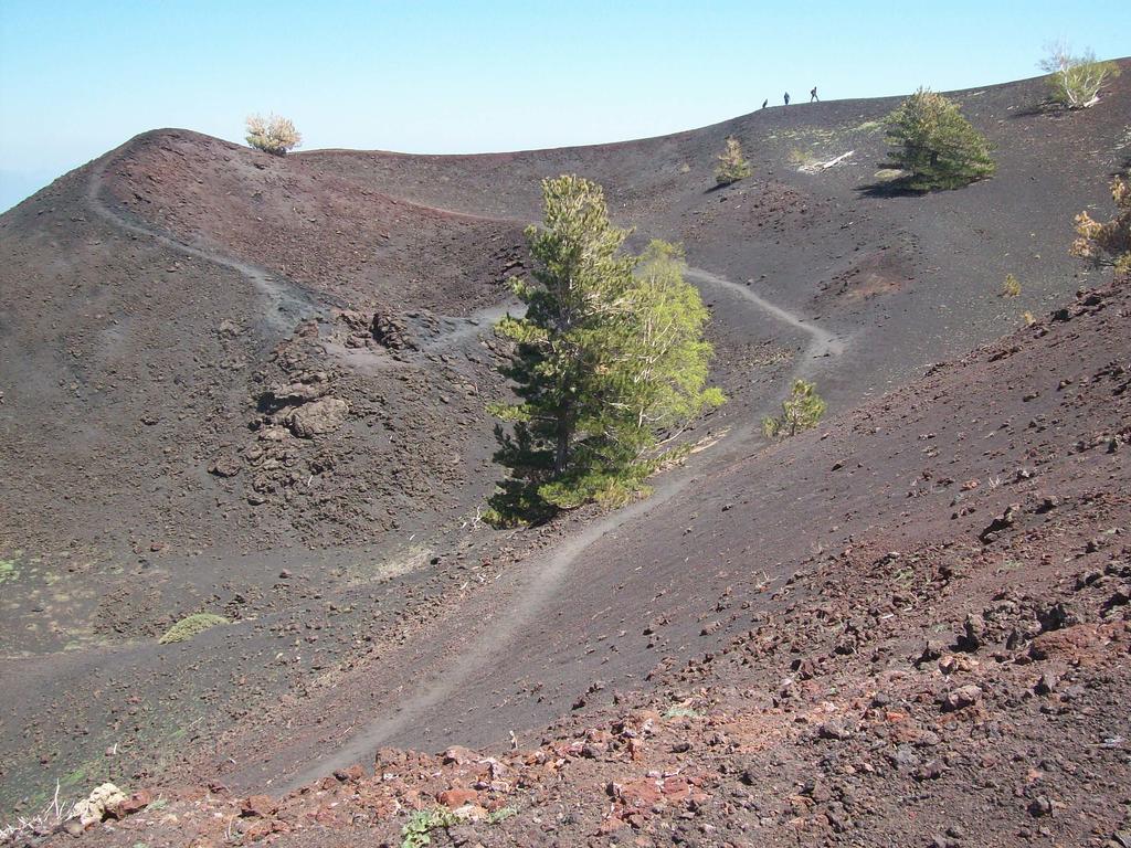 Cartoline Dall'Etna B&b Zafferana Etnea Esterno foto