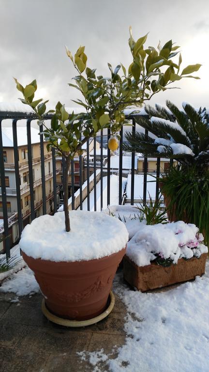 Cartoline Dall'Etna B&b Zafferana Etnea Esterno foto