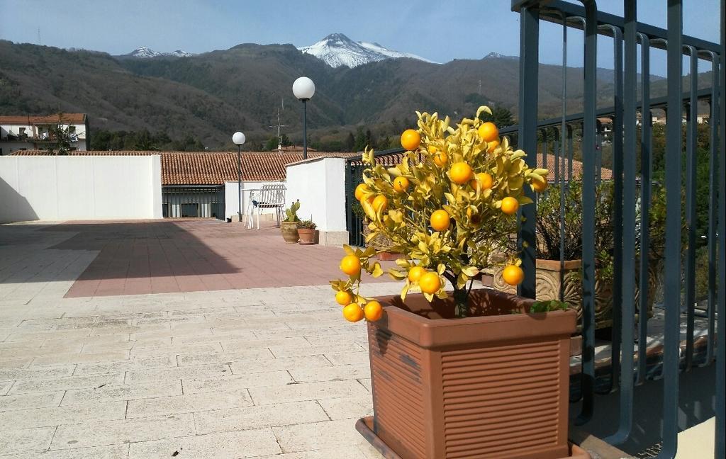 Cartoline Dall'Etna B&b Zafferana Etnea Esterno foto